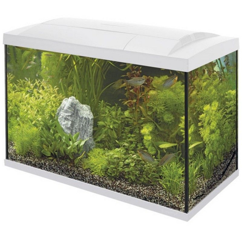 Superfish Start 100 Tropical Kit White
